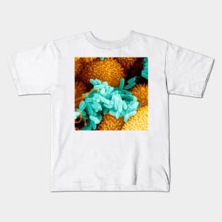 Pseudomonas aeruginosa bacteria (B220/1027) Kids T-Shirt